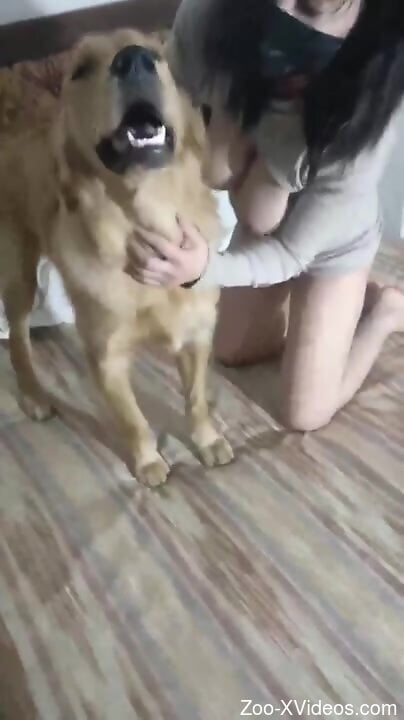 Clothed babe pulls panties down to fuck with her dog