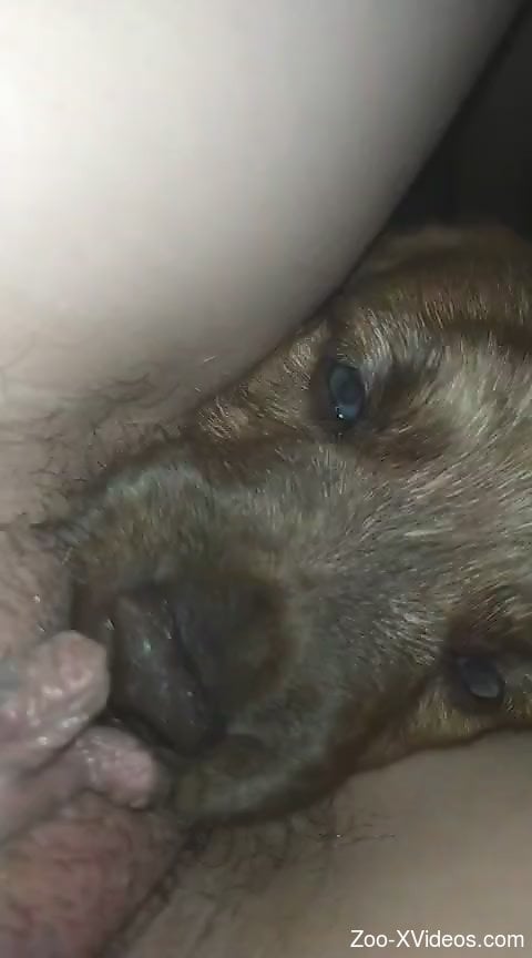 Nude action with the dog for a woman with trimmed cunt