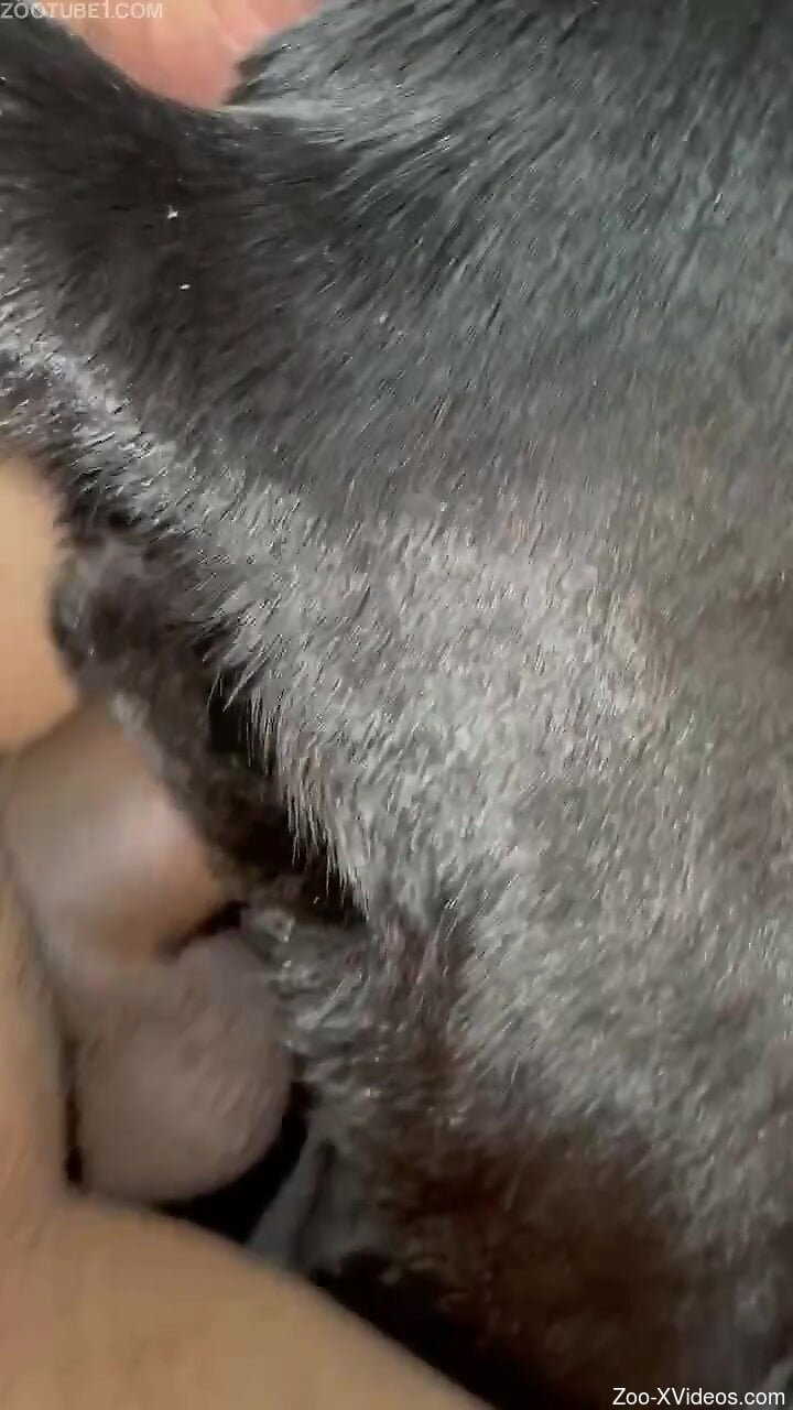 Dude uses his penis to make the animal scream out