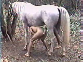 Hores Sex 3gp - Sex with a horse in nature zooporn mp4 video Â» Download zoo porno videos  mp4 and free online