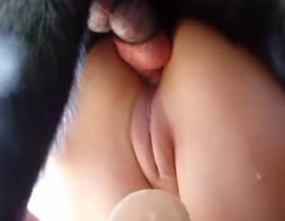 Frantic sex with a dog brought a young lady to a jet orgasm bestiality close up