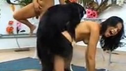 Sex miniclip zoo dark-skinned brunette fucked by a dog - Porn Videos online