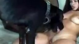 Cute lady often fucks with a dog clip