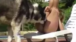 Slender Latin girl allowed the dog to lick a flowing pussy. XXX free zooporn video