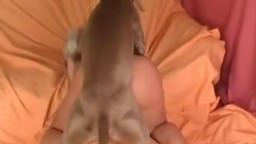 Fat ass whore having sex with a dog zooporn mp4