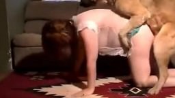 Cool zoosex clip - woman in underwear gives a fuck to a domestic dog
