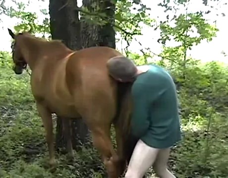 The guy in the woods fucks a horse with a dick, horse free porno download