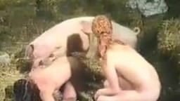 Zoo porn with a satisfied pig after fucking with a zoophile mp4