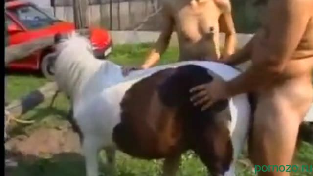 A married couple of zoophiles fucked with a pony. Group mp4 sex with an animal