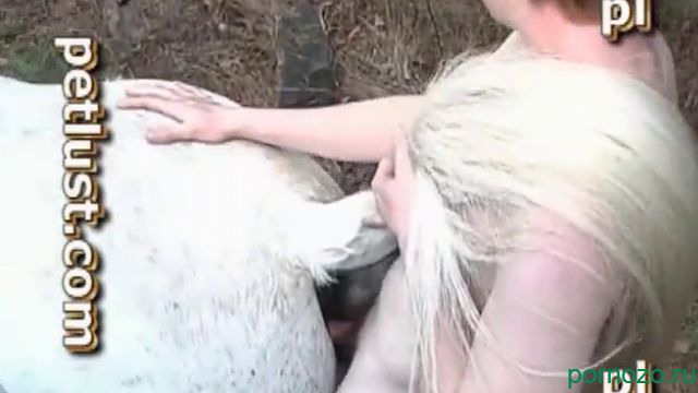 The guy fucks a horse in the pussy, zoophile mp4porn