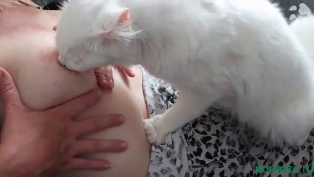 Real zoo sex woman with cat home zooporn video