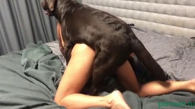 Male fucks young wife in family bed. Zoo porn mp4 with a dog