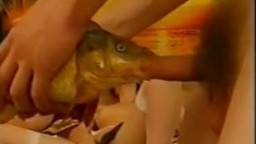 Guy fucks fish in mouth while chicks put eel in pussy