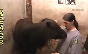Petlust - gay horse porn amateur video