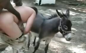 Video of bestiality with donkeys