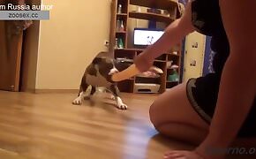 Girl has sex with dog after pussy licking