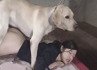 Huge Dog Porn - Huge dog gets to get freaky with an Asian babe, mp4, 08:20 Â» Download zoo  porno videos mp4 and free online