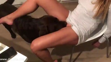 Dog and woman orgasm compilation 2023 / 480p