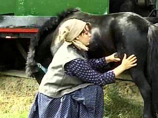 Farmer's wife with a horse 480p