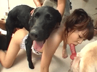 日本人の女の子が2匹の犬に犯されるビデオ 480p