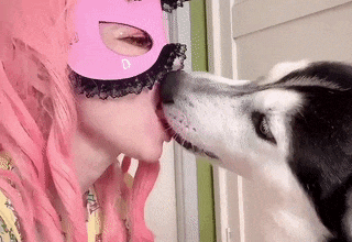 Spicy female makes out with her dog in intimate cam scenes 880p