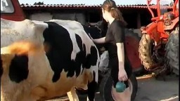 A young girl has sex with a cow zoo porn video with animals 480p