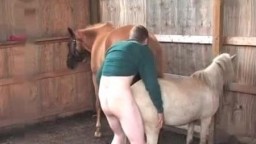 A homosexual in a zoo porn video fucks a short horse watch for free online 360p