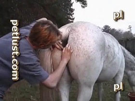 An adult zoophile fucks a gray mare watch online