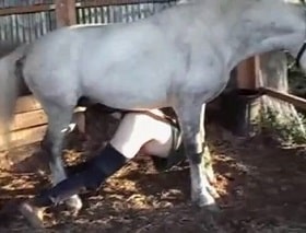 A horse rapes a bestiality and cums in the anal, creepy zoo porn with a homosexual watch online