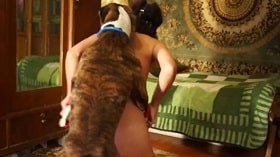 Russian profura exposes her hole for a zoo with a dog watch online