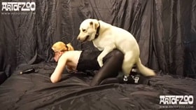 Jasmine found herself a secluded place for porn with a Great Dane watch online