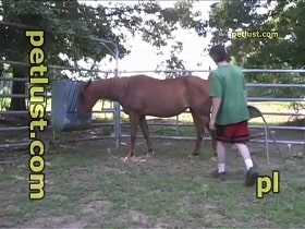 The zoophile licked the mare's vagina and fucked her watch online