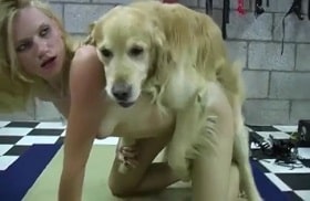 Courtesans and a dog, zoo porn with a furry animal in the pain room watch online