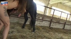 Russian sex with a wild stallion, epilogue watch online