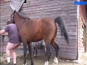A stallion rapes a heavy guy in the anus in the yard watch online