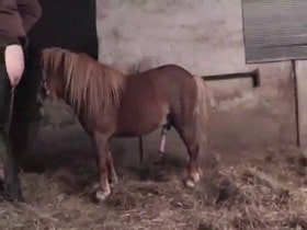 Pony inhumanely fucks aunt through an elastic band. Radical zoo porn watch online