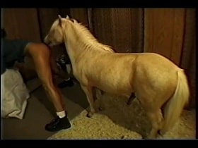 Pony brutally fucks a tanned woman watch online