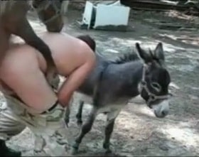 A pony fucked a man in the ass in front of a donkey, bestiality sex watch online