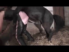 Pony mercilessly raping the lady in the barn, zoo sex video watch online