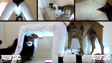 Penny in a white leather suit zoo sex close-up